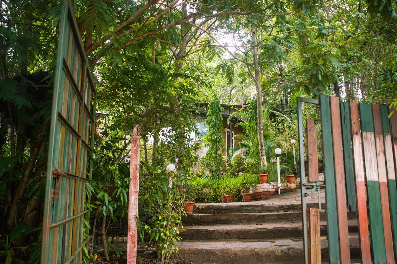 Sterling Nature Trails Dabhosa , Jawahar Birjpara エクステリア 写真